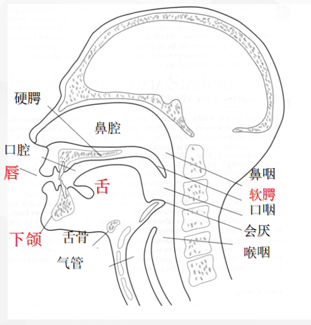 图片 1.png