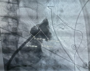 图片4.png